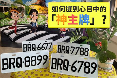 如何選車牌號碼|車牌怎麼選比較好？數字五行解析吉凶秘訣完整教學